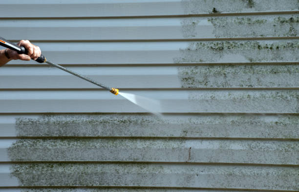 Best Mold Cleaning Services  in Port Barrington, IL