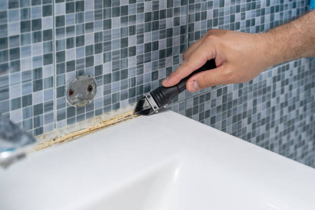Best Affordable Mold Removal  in Port Barrington, IL